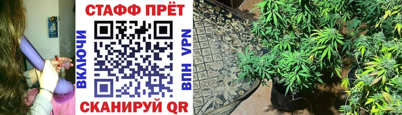 Виды наркотиков купить Шлиссельбург АМФ  A-PVP  Кокаин  Мефедрон  Каннабис  ГАШ 
