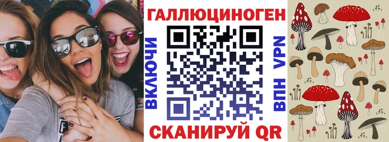 цены наркотик  Шлиссельбург  это состав  Галлюциногенные грибы прущие грибы 